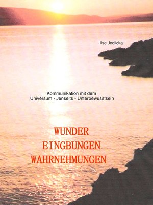 cover image of Wunder Eingebungen Wahrnehmungen